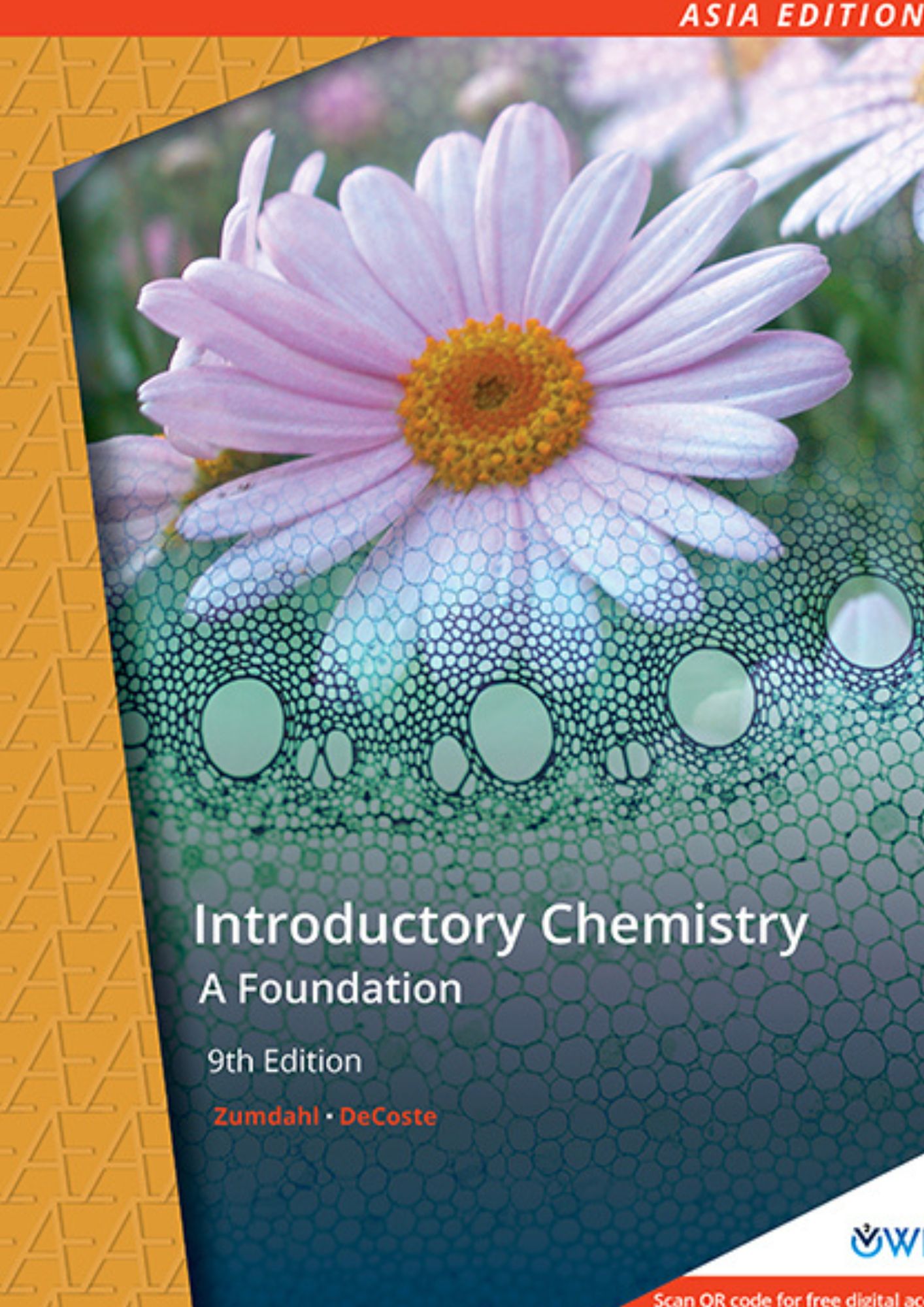 AE Introductory Chemistry: A Foundation 9th edition