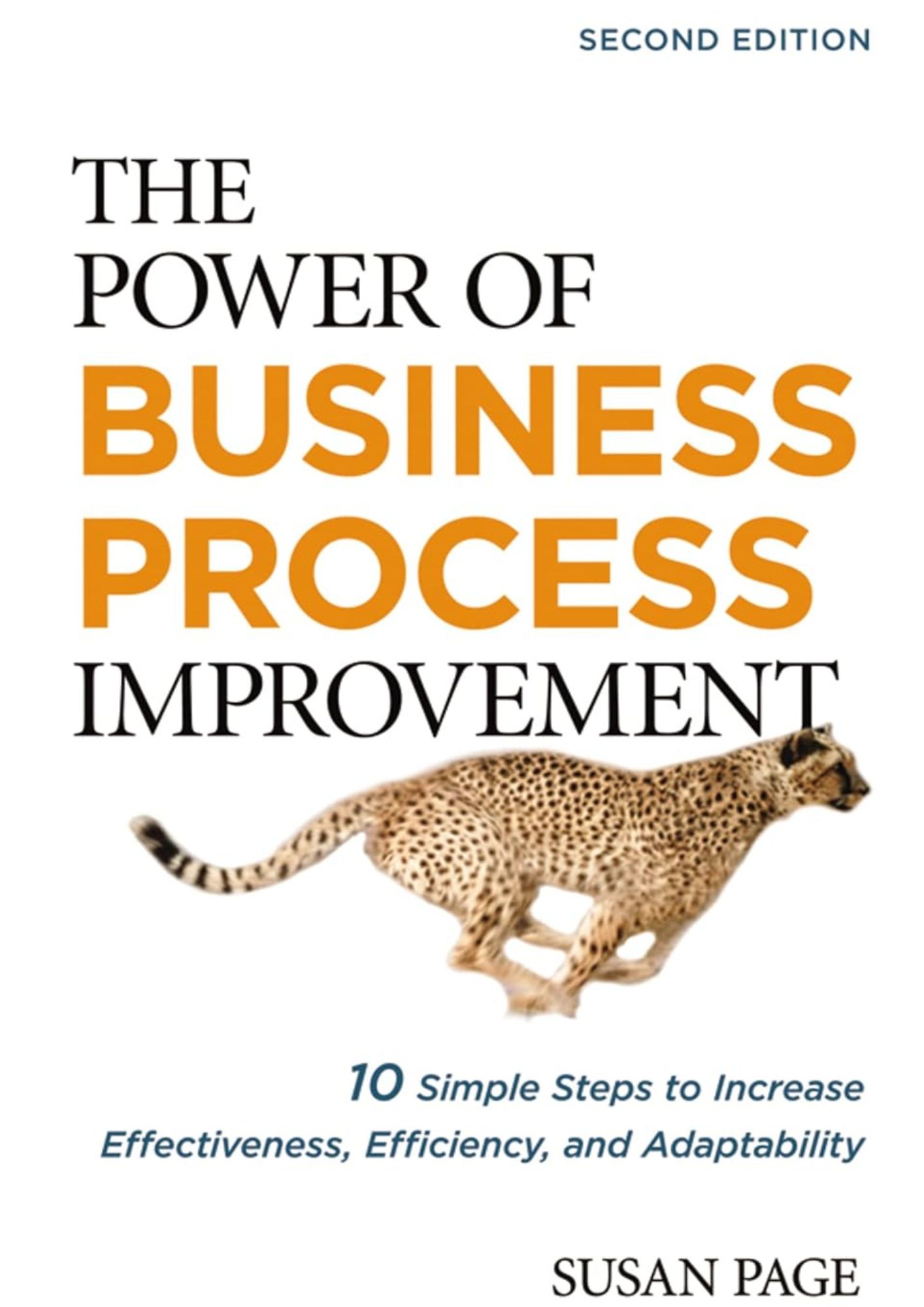 The Power of Business Process Improvement: 10 Simple Steps to Increase Effectiveness, Efficiency, and Adaptability