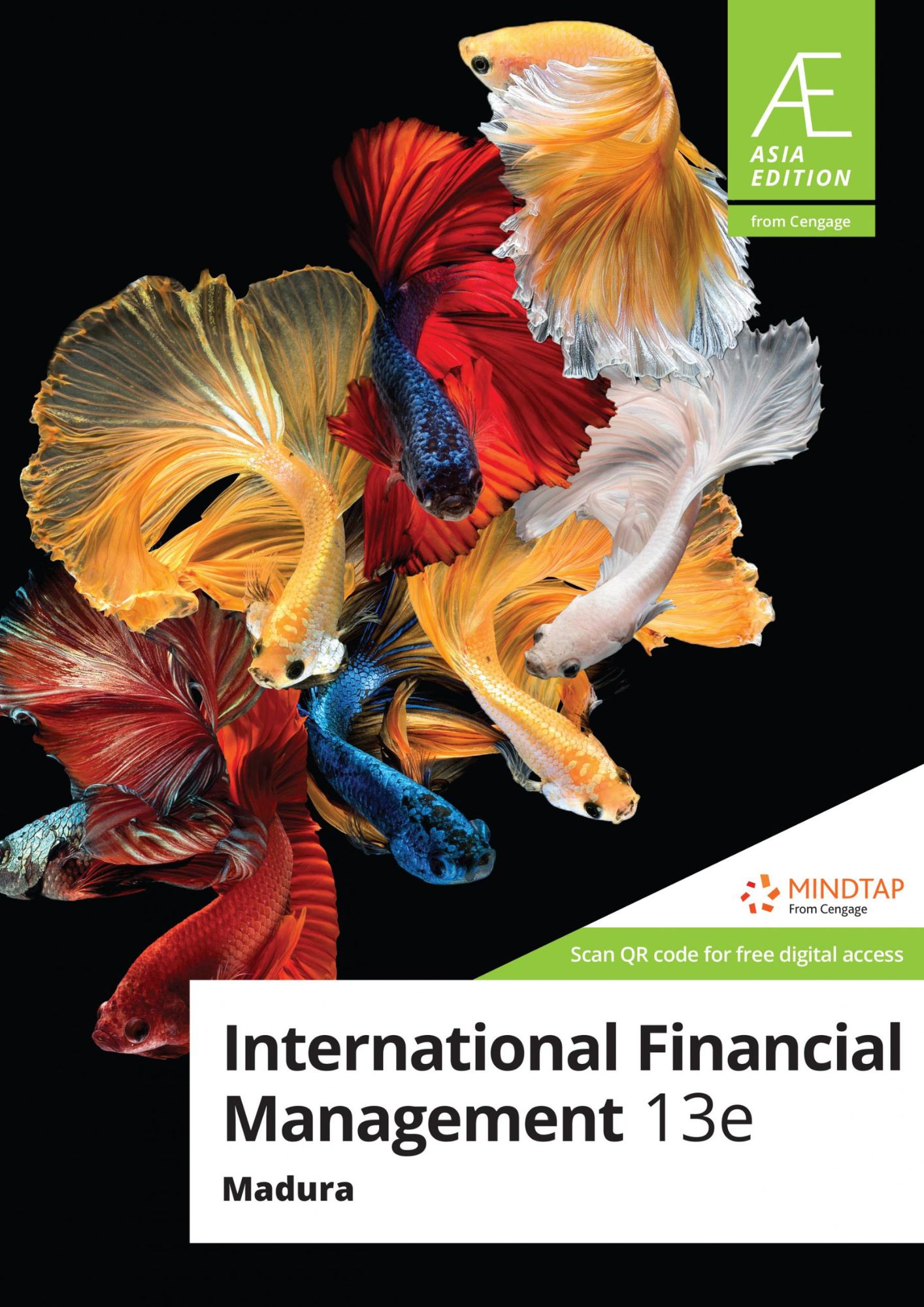 AE International Financial Management, 13th Edition